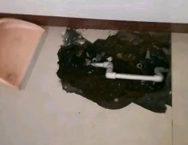 辛集卫生间测漏水多少钱